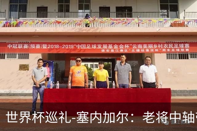 世界杯巡礼-塞内加尔：老将中轴带来安全感，非洲顶流前景可期！